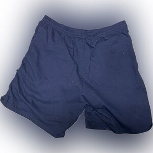 Hanes Blue Men's Boxers | Sz L
